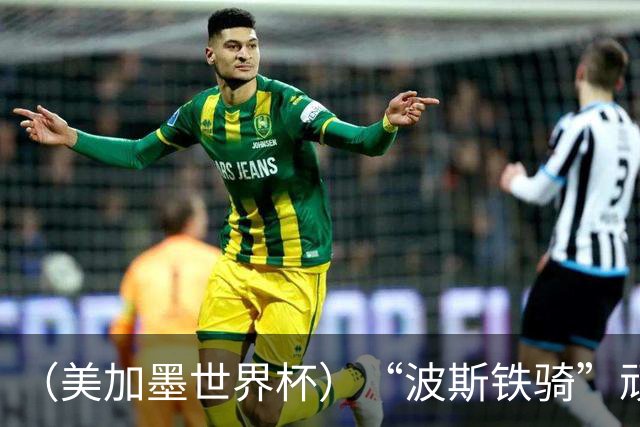 （美加墨世界杯）“波斯铁骑”顽强两连平 伊朗队期待更进一步